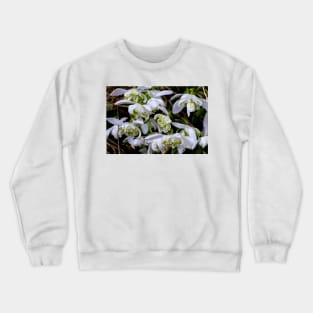 Woodland snowdrops Crewneck Sweatshirt